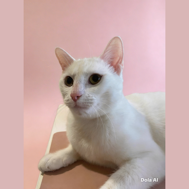 Photo of Snowy