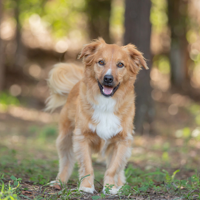 Photo of Buttons