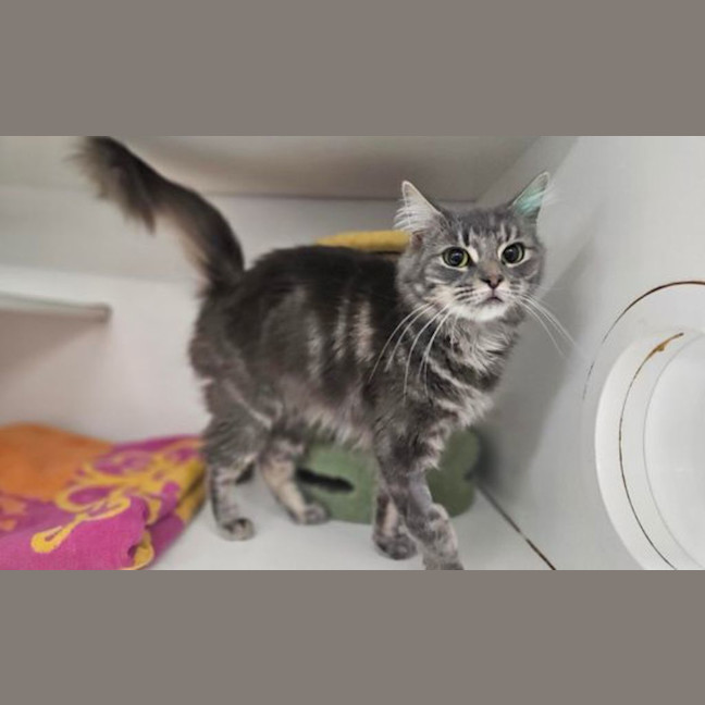 Photo of Freya