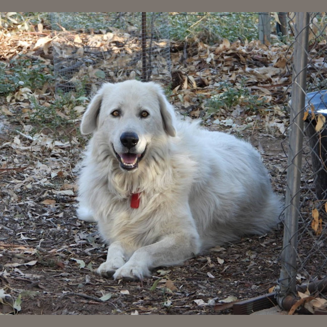 Photo of Lucy