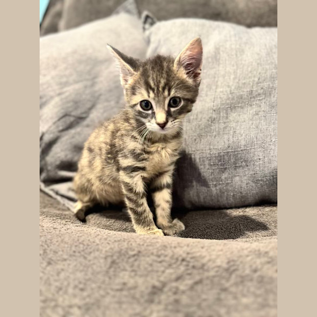 Photo of Freaking Freddie