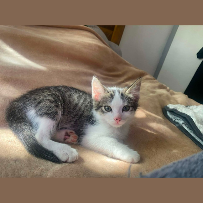Photo of Jasper