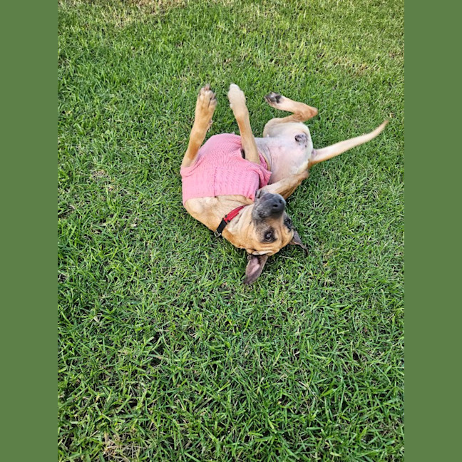 Photo of Audrey