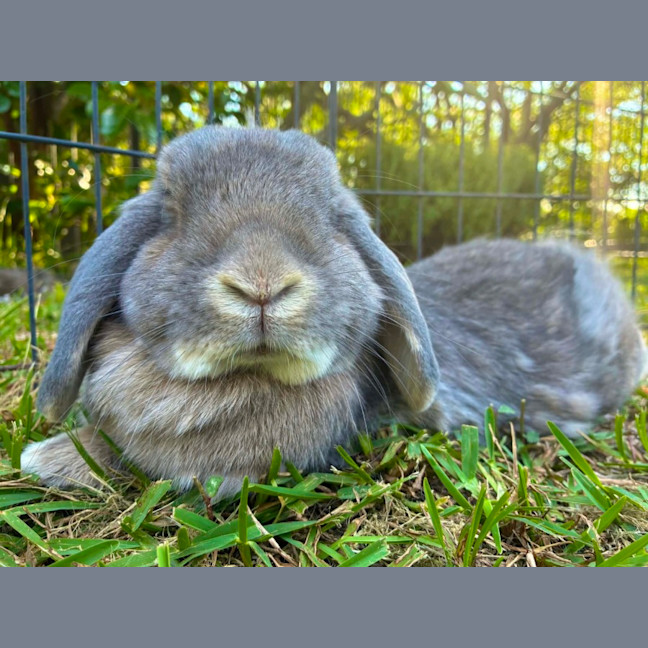 Photo of Denver And Heather