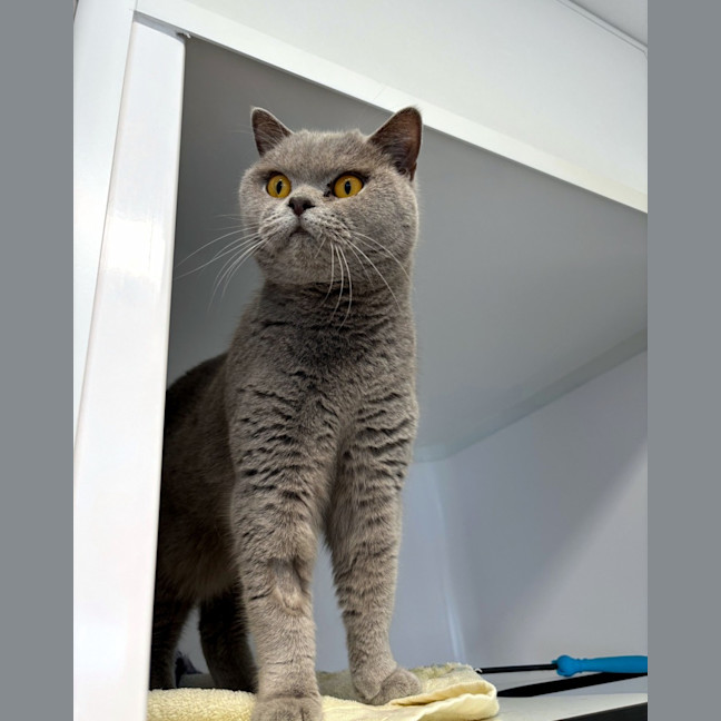 Photo of Lila Sta012911