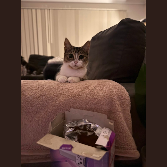 Photo of Flynn