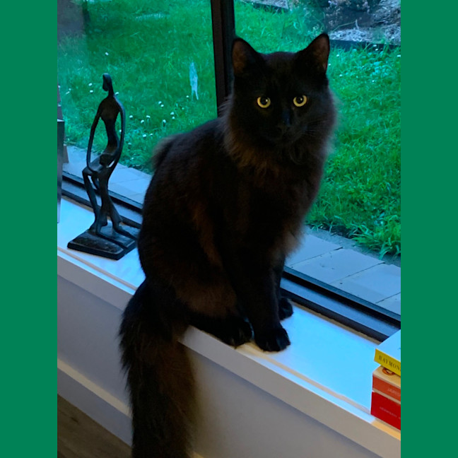 Photo of Puff