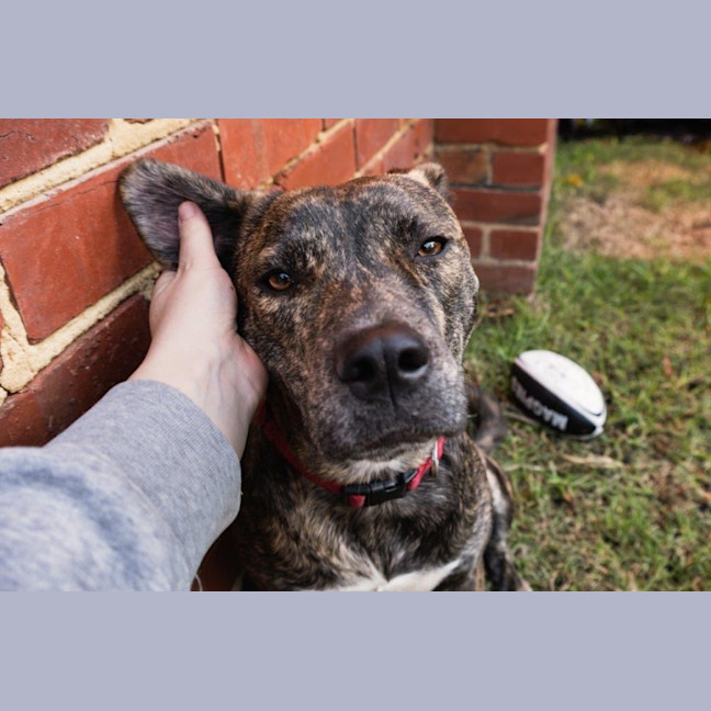 Photo of Benny Lozano