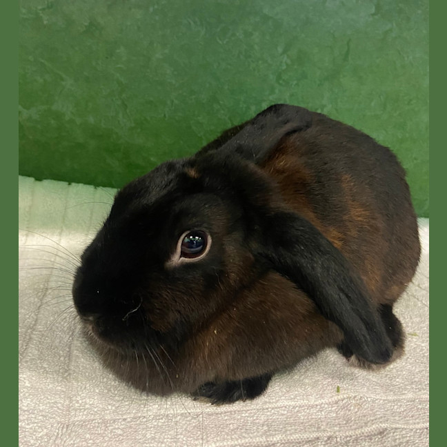 Photo of Hermione