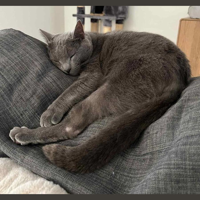 Photo of Bubbles