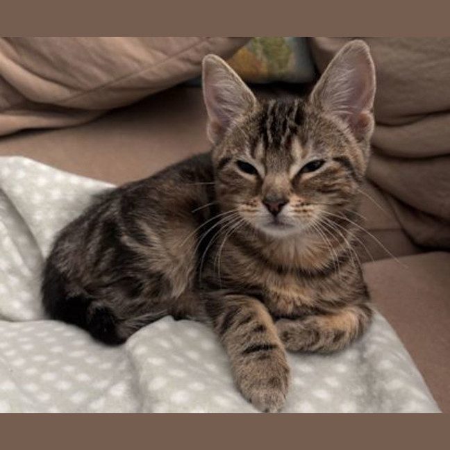 Photo of Freya