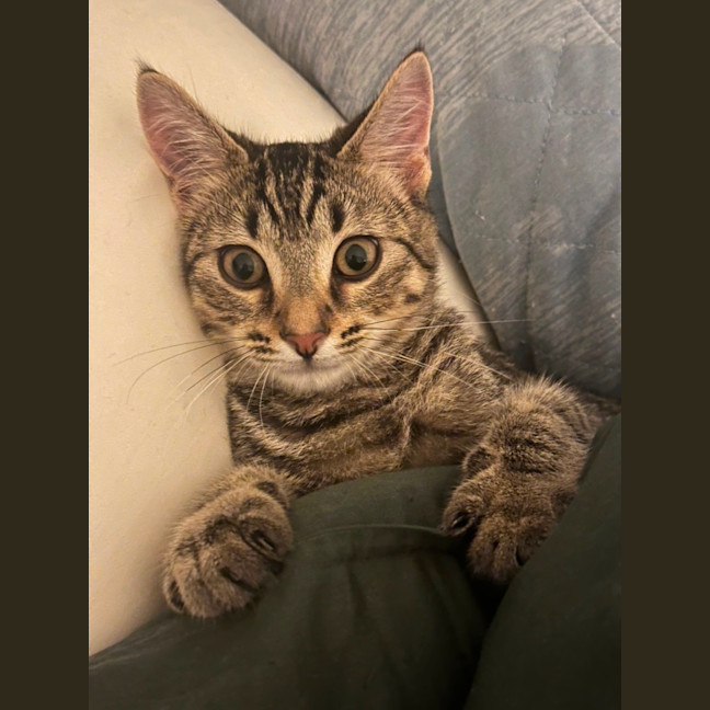 Photo of Genki
