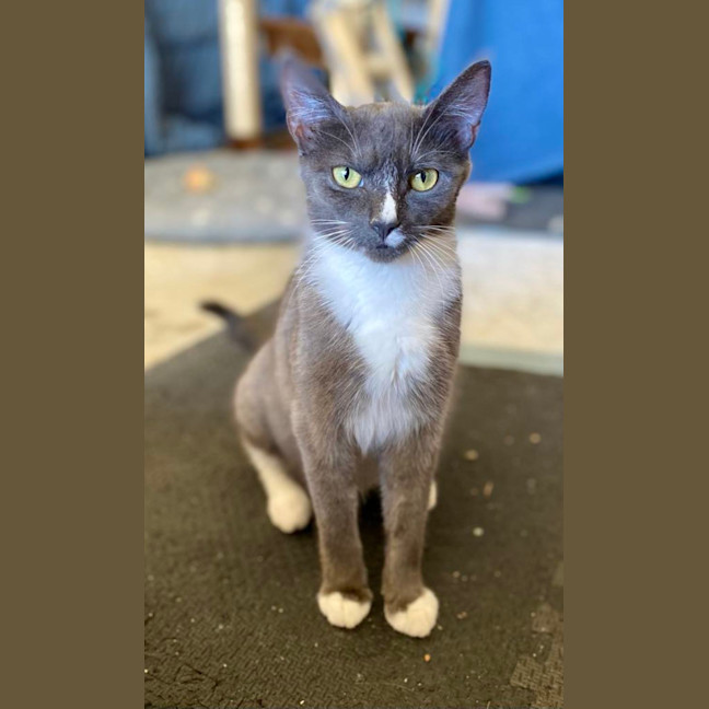 Photo of Edwina & Trixie