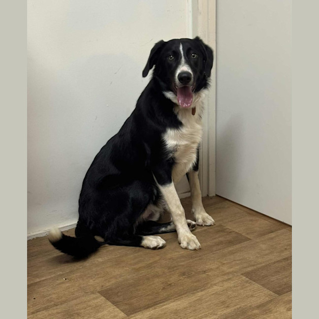 Photo of Max