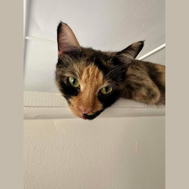 Photo of Holly