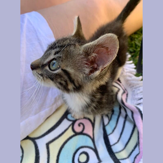 Photo of Earl