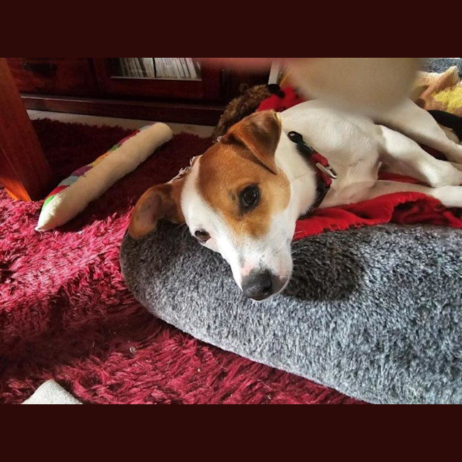 Photo of Jacky Chan Peggotty