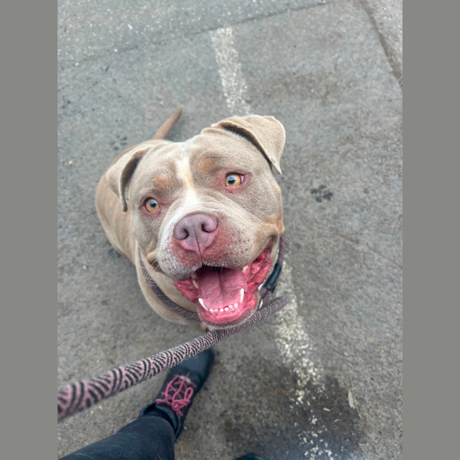 Photo of Luna