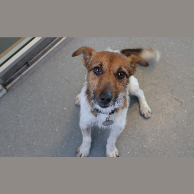 Photo of Bessie