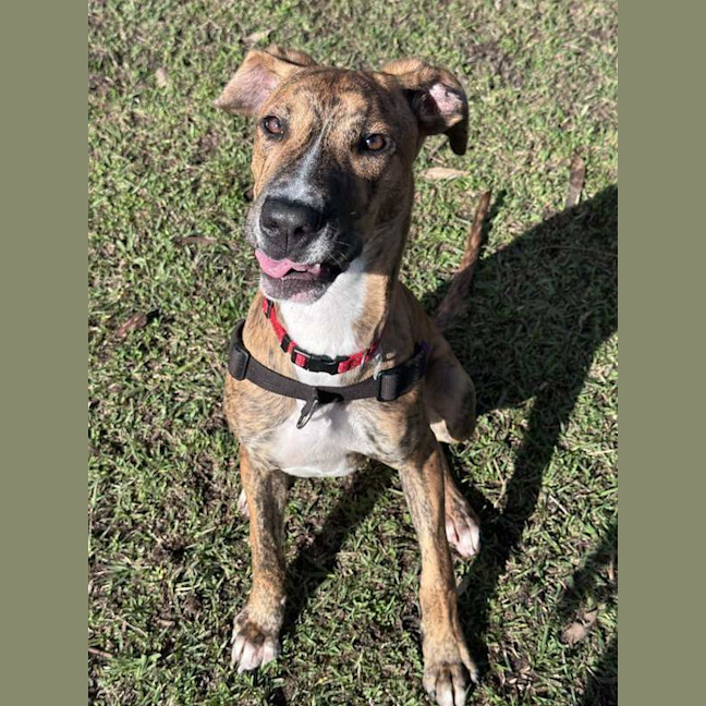 Photo of Tank