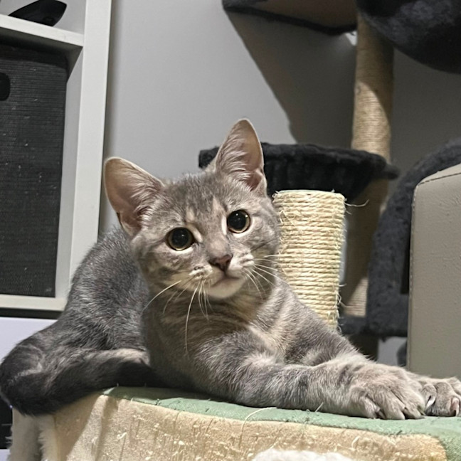 Photo of Maya 💖
