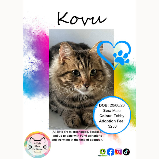 Photo of Kovu