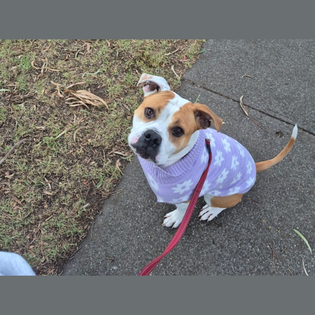 Photo of Yoko Newhaven