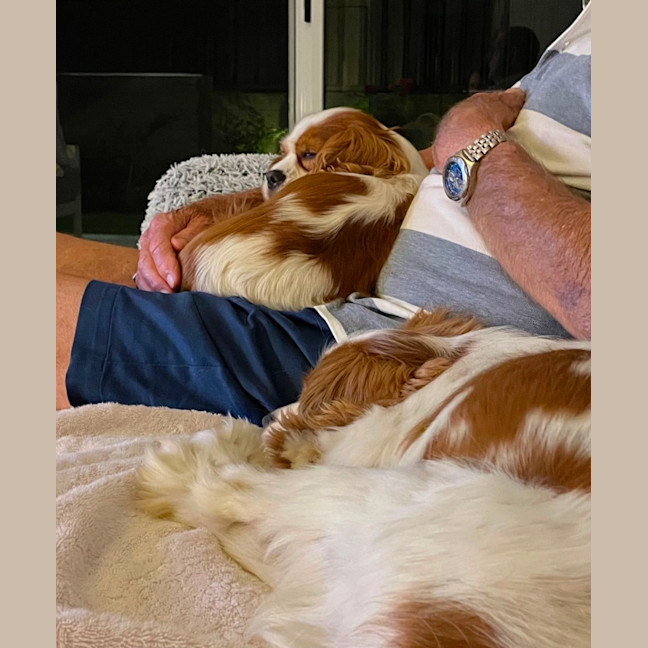 Photo of Beautiful Poppy And Pearl 
