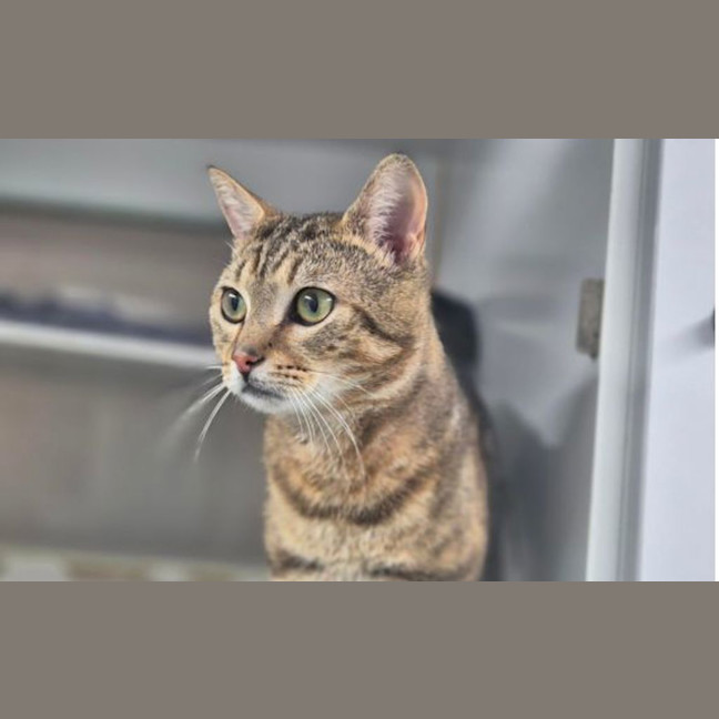 Photo of Millicent
