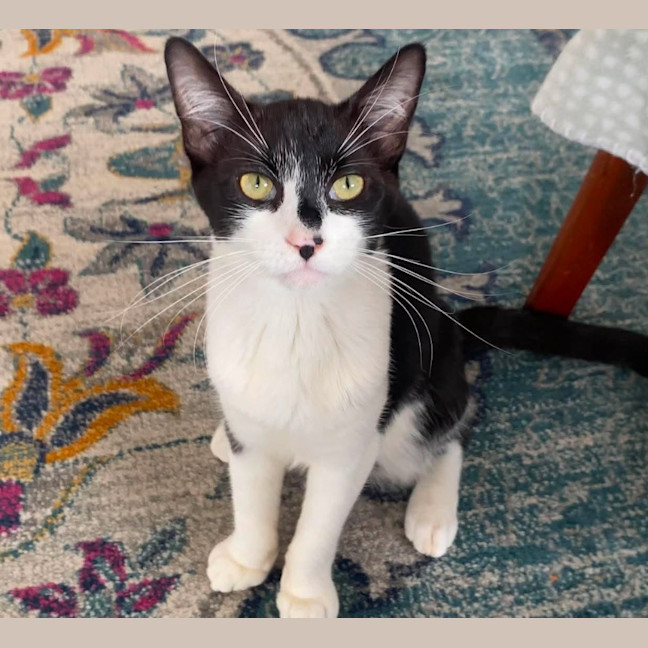 Photo of Betty