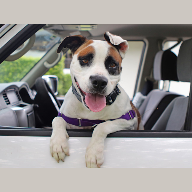 Photo of Maxie