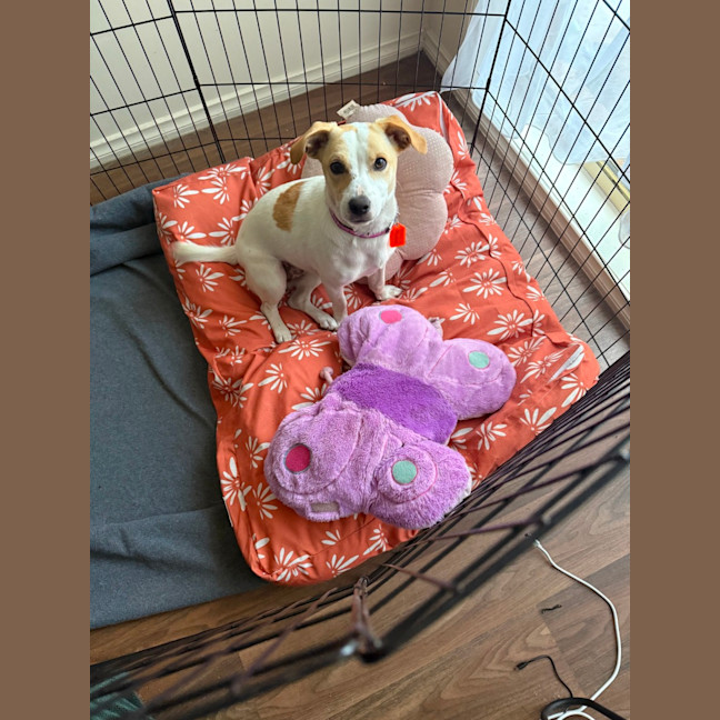 Photo of Bonnie Jrt