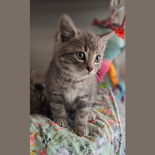 Photo of Sprite