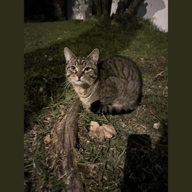 Photo of Test2