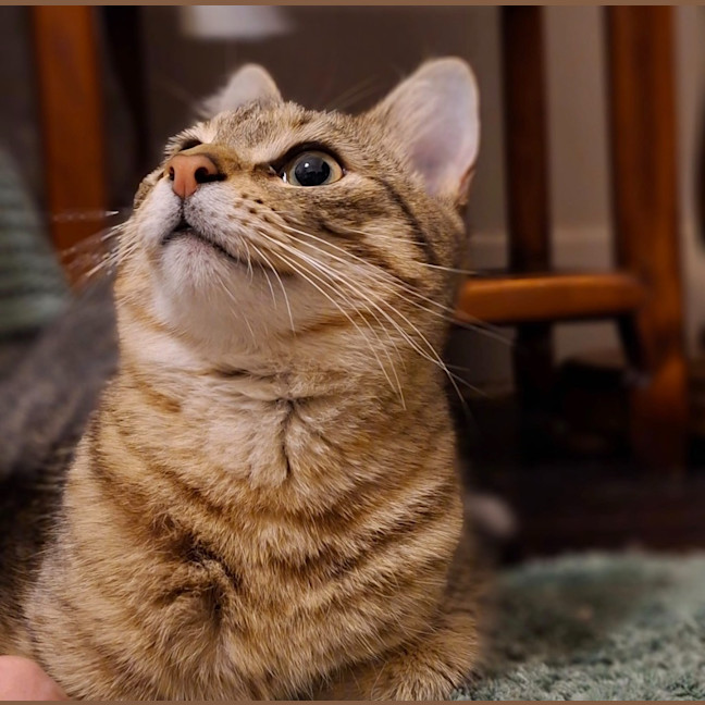 Photo of Twyla