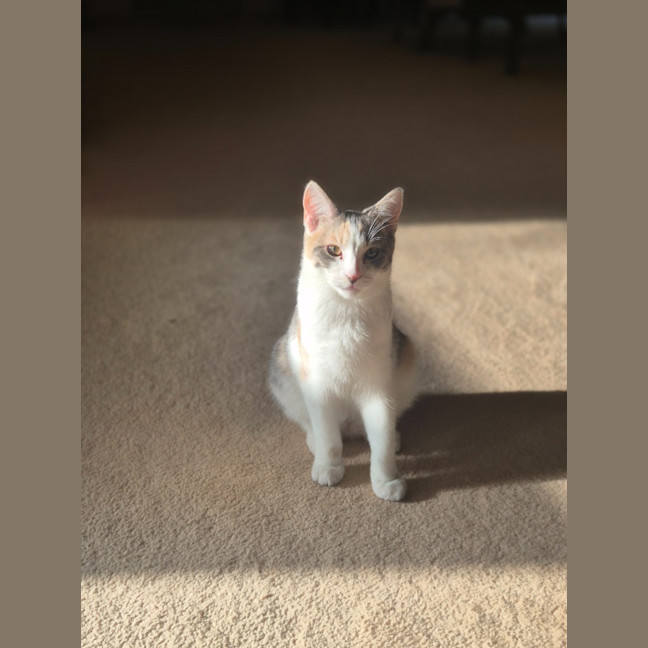 Photo of Cassidy / Cooper