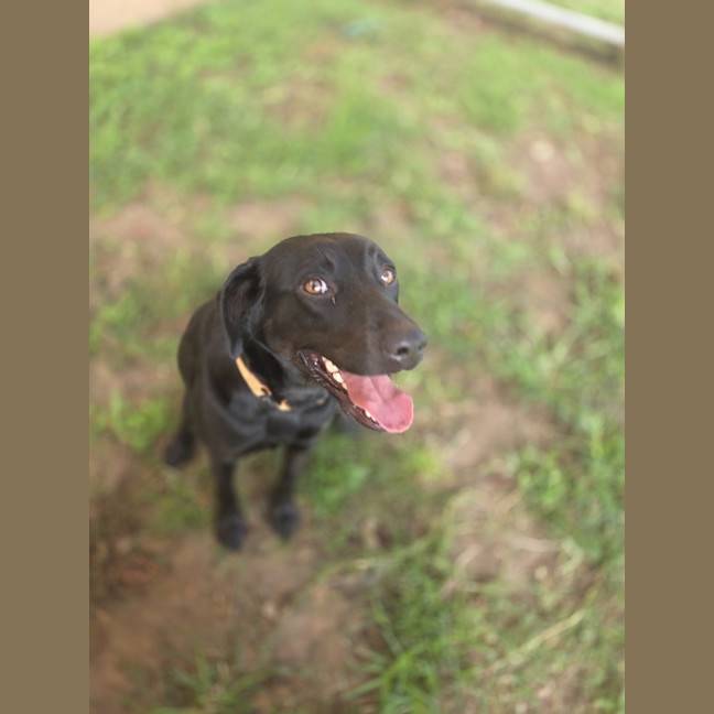 Photo of Luna