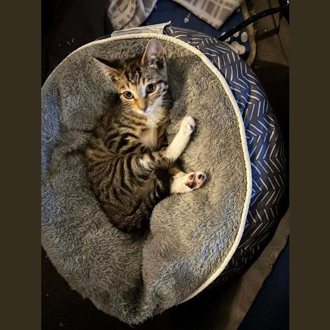 Photo of Taylor (Tay Tay)