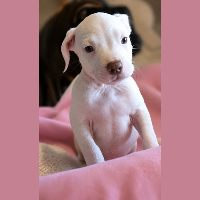 Photo of Susie
