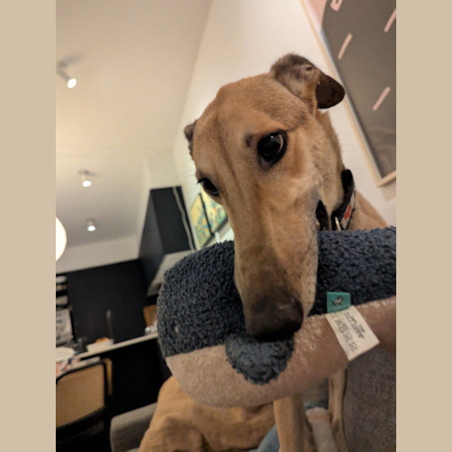 Photo of Caspian