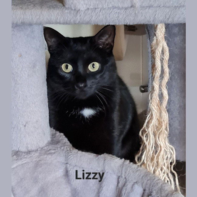 Photo of Lizzie