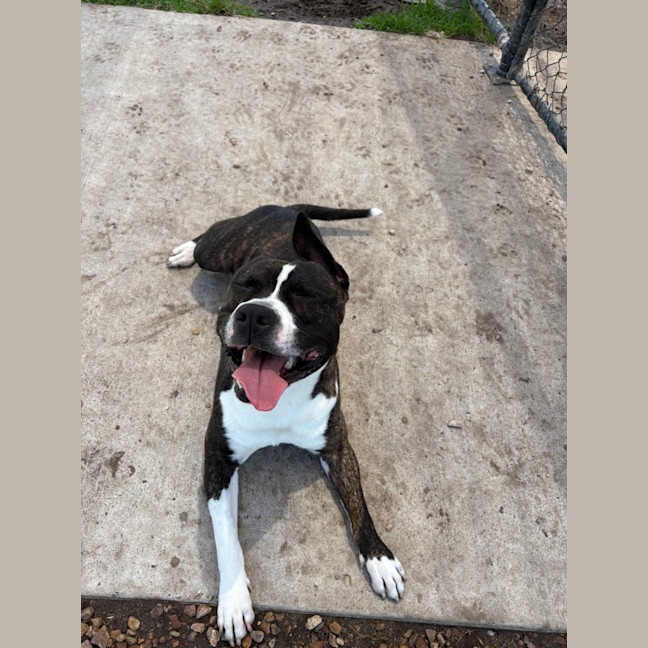 Photo of Ace Ventura 