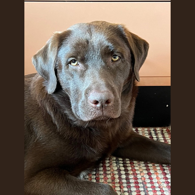 Photo of Max