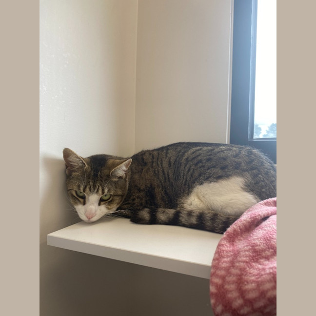 Photo of Jimmy And Buzz