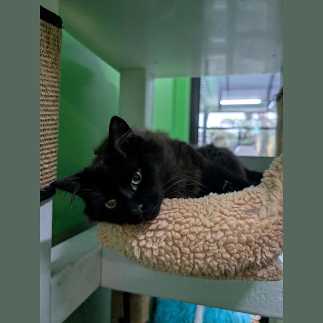 Photo of Ted (Bonded With Piper)