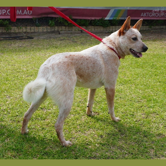 Photo of Ember