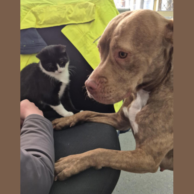 Photo of Meggie 💜