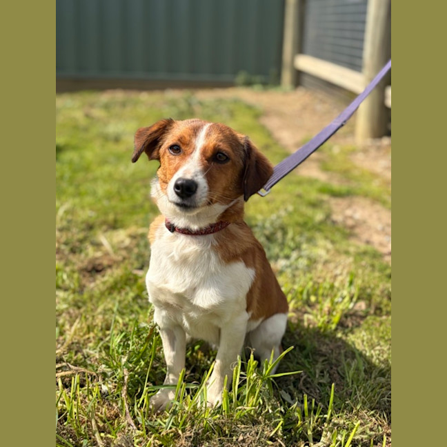 Photo of Ernie