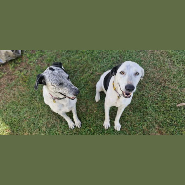 Photo of Dotti And Tina