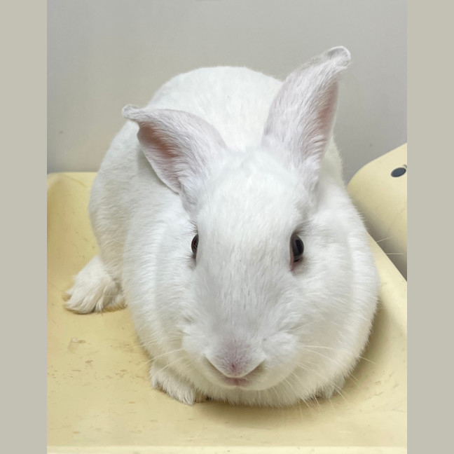 Photo of Bertha